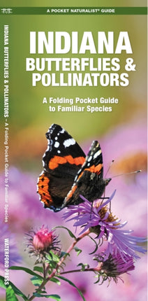 Indiana Butterflies & Pollinators: A Folding Pocket Guide to Familiar Species