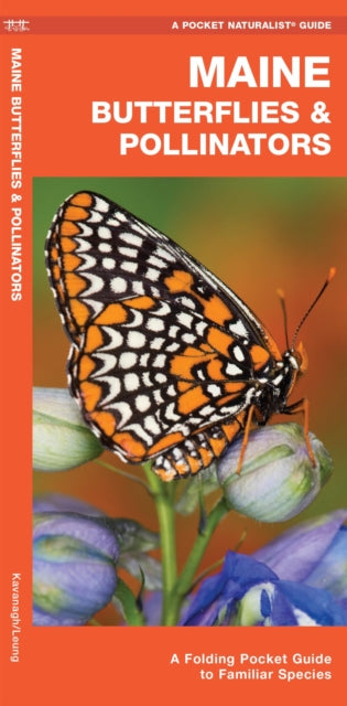 Maine Butterflies & Pollinators: A Folding Pocket Guide to Familiar Species