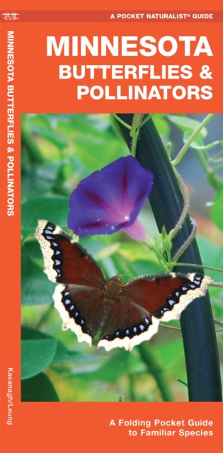 Minnesota Butterflies & Pollinators: A Folding Pocket Guide to Familiar Species