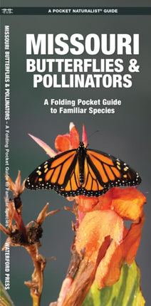 Missouri Butterflies & Pollinators: A Folding Pocket Guide to Familiar Species