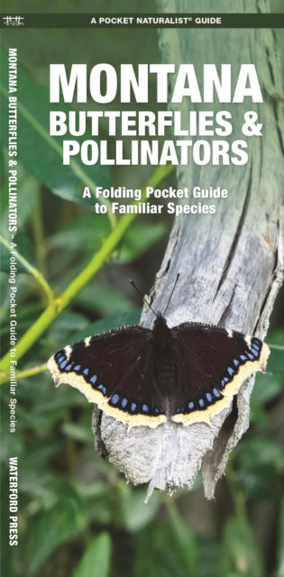 Montana Butterflies & Pollinators: A Folding Pocket Guide to Familiar Species