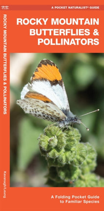 Rocky Mountain Butterflies & Pollinators: A Folding Pocket Guide to Familiar Species