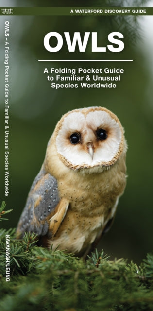 Owls: A Folding Pocket Guide to Familiar Species Worldwide