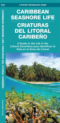 Caribbean Seashore Life (Criaturas del Litoral Caribeno): A Guide to the Life in the Littoral Zone (Bilingual)