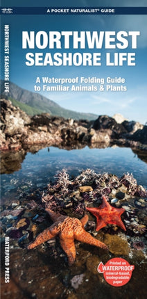 Northwest Seashore Life: A Waterproof Folding Guide to Familiar Animals & Plants