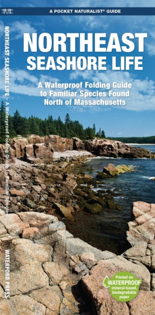 Northeast Seashore Life: A Waterproof Folding Guide to Familiar Species Found North of Massachusetts