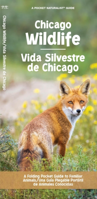 Chicago Wildlife/Fauna de Chicago: A Folding Pocket Guide to Familiar Animals/Una Guia Plegable Portatil de Animales Conocidas