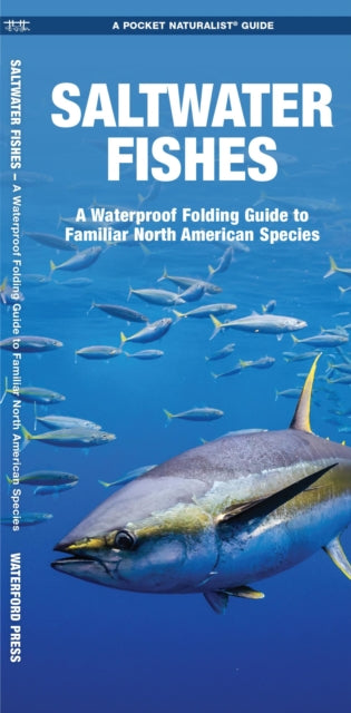 Saltwater Fishes: A Waterproof Folding Guide to Familiar North American Species