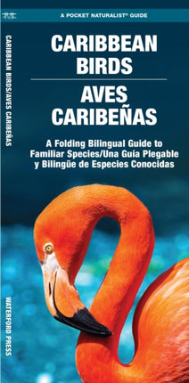 Caribbean Birds/Aves Caribenas: A Folding Pocket Guide to Familiar Species/Una Guia Plegable Portatil de Especies Conocidas