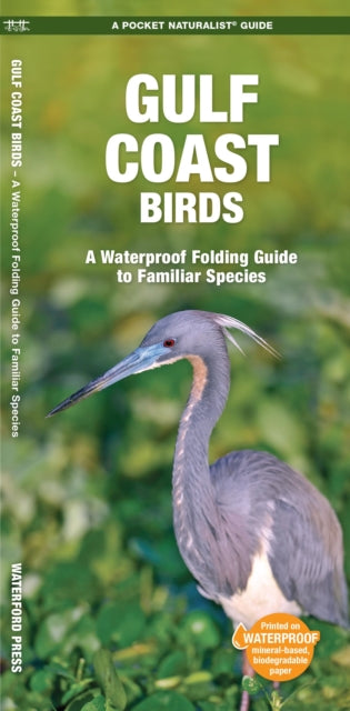 Gulf Coast Birds: A Waterproof Folding Guide to Familiar Species