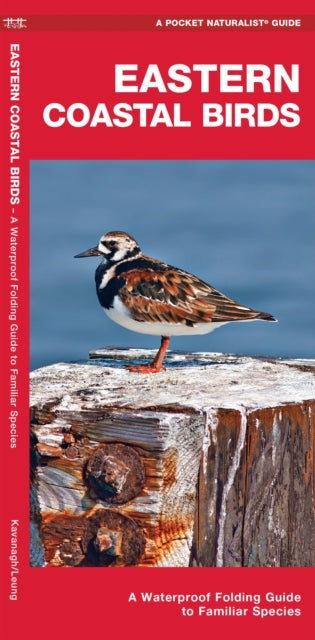 Eastern Coastal Birds: A Waterproof Folding Guide to Familiar Species