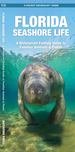 Florida Seashore Life: A Waterproof Folding Guide to Familiar Animals & Plants