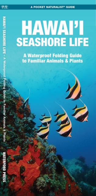 Hawai'i Seashore Life: A Folding Pocket Guide to Familiar Animals & Plants