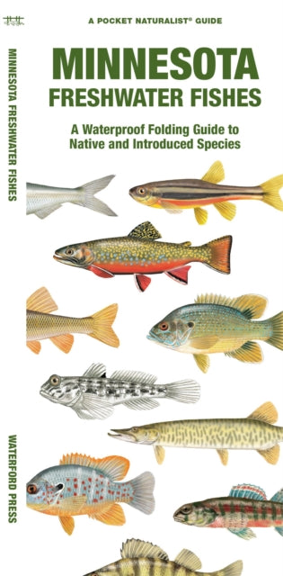 Minnesota Freshwater Fishes: A Waterproof Folding Guide to Native and Introduced Species