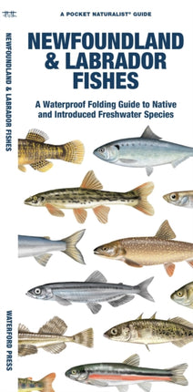 Newfoundland & Labrador Fishes: A Waterproof Folding Guide to Native and Introduced Freshwater Species