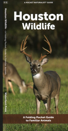 Houston Wildlife: A Folding Pocket Guide to Familiar Animals