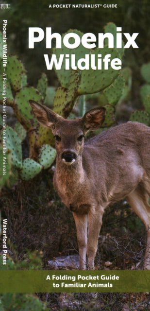 Phoenix Wildlife: A Folding Pocket Guide to Familiar Animals