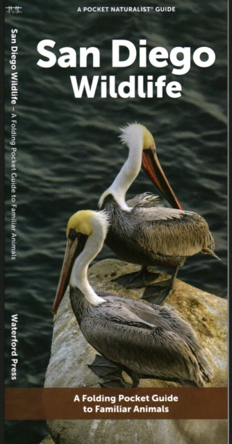 San Diego Wildlife: A Folding Pocket Guide to Familiar Animals