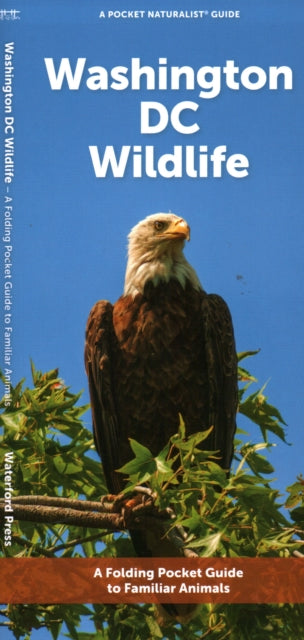 Washington DC Wildlife: A Folding Pocket Guide to Familiar Animals