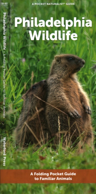 Philadelphia Wildlife: A Folding Pocket Guide to Familiar Animals