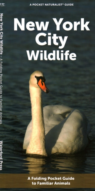 New York City Wildlife: A Folding Pocket Guide to Familiar Animals