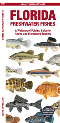 Florida Freshwater Fishes: A Waterproof Folding Guide to Native and Introduced Species