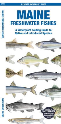 Maine Freshwater Fishes: A Waterproof Folding Guide to Native and Introduced Species