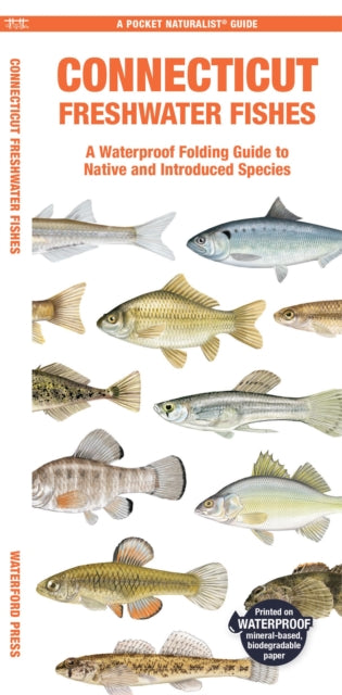 Connecticut Freshwater Fishes: A Waterproof Folding Guide to Native and Introduced Species