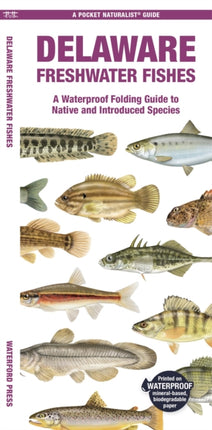 Delaware Freshwater Fishes: A Waterproof Folding Guide to Native and Introduced Species