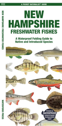 New Hampshire Freshwater Fishes: A Waterproof Folding Guide to Native and Introduced Species