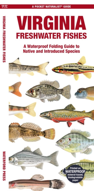 Virginia Freshwater Fishes: A Waterproof Folding Guide to Native and Introduced Species