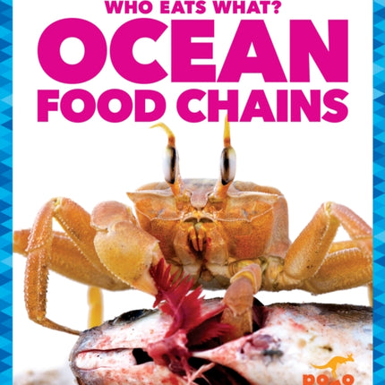 Ocean Food Chains