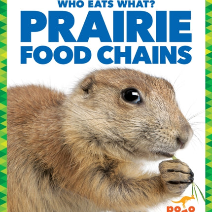 Prairie Food Chains