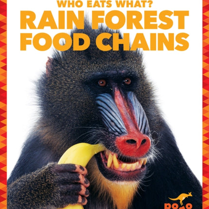 Rain Forest Food Chains