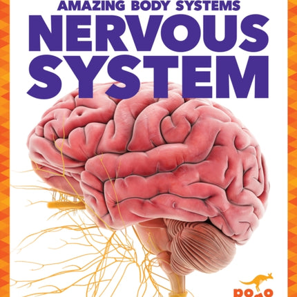 Nervous System