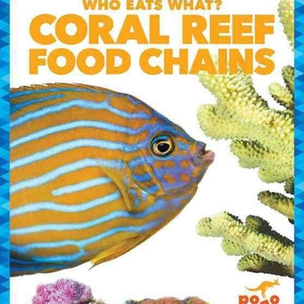 Coral Reef Food Chains