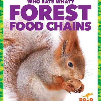 Forest Food Chains