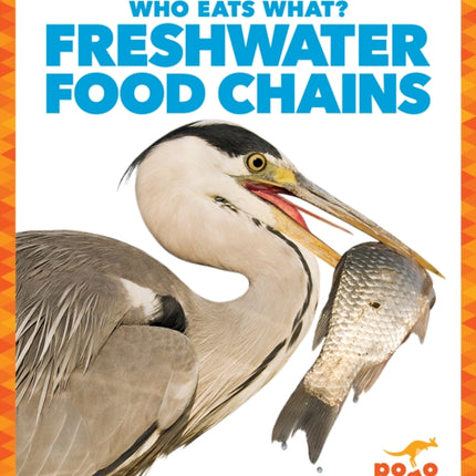 Freshwater Food Chains