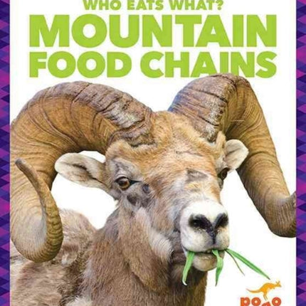 Mountain Food Chains