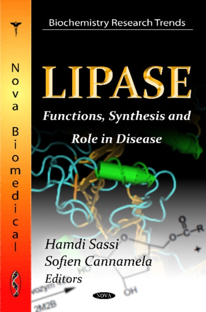 Lipase: Functions, Synthesis & Role in Disease