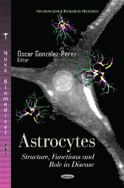 Astrocytes: Structure, Functions & Role in Disease