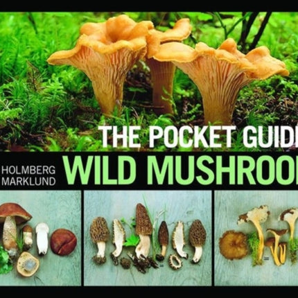 The Pocket Guide to Wild Mushrooms: Helpful Tips for Mushrooming in the Field