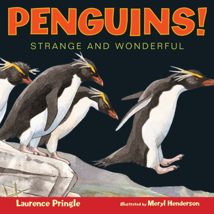 Penguins Strange and Wonderful