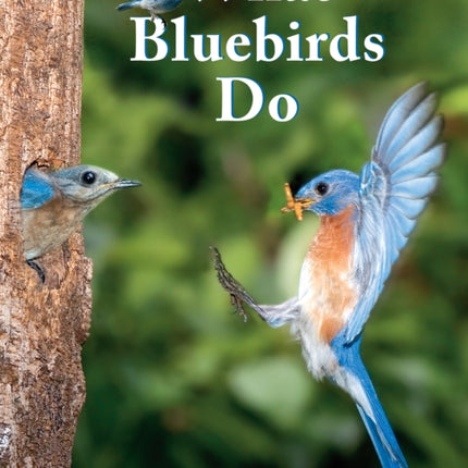 What Bluebirds Do