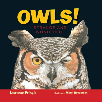 Owls!: Strange and Wonderful