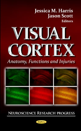 Visual Cortex: Anatomy, Functions & Injuries