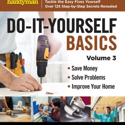 Family Handyman Do It Yourself Basics Vol.3