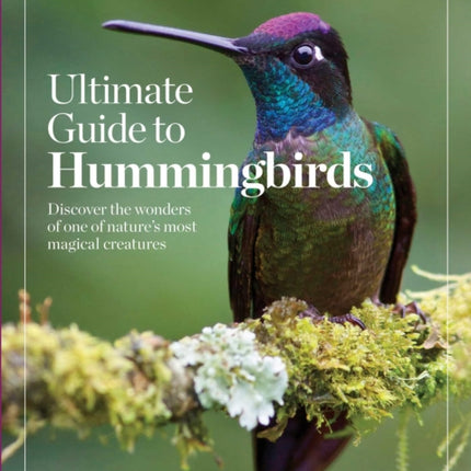 Birds & Blooms Ultimate Guide to Hummingbirds: Discover the Wonders of One of Nature's Most Magical Creatures