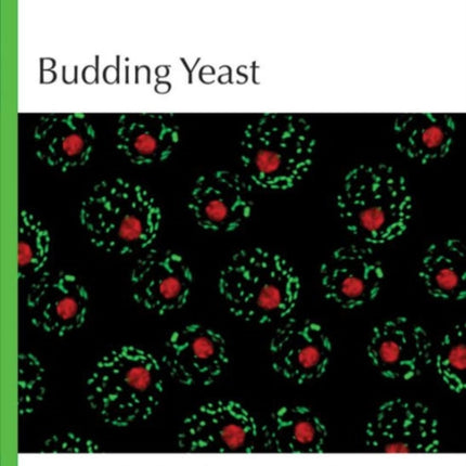 Budding Yeast: A Laboratory Manual