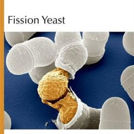 Fission Yeast: A Laboratory Manual